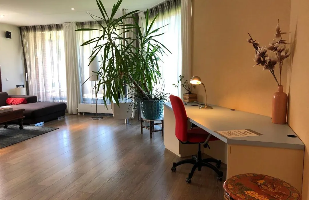 Lounge Park Apartment-1