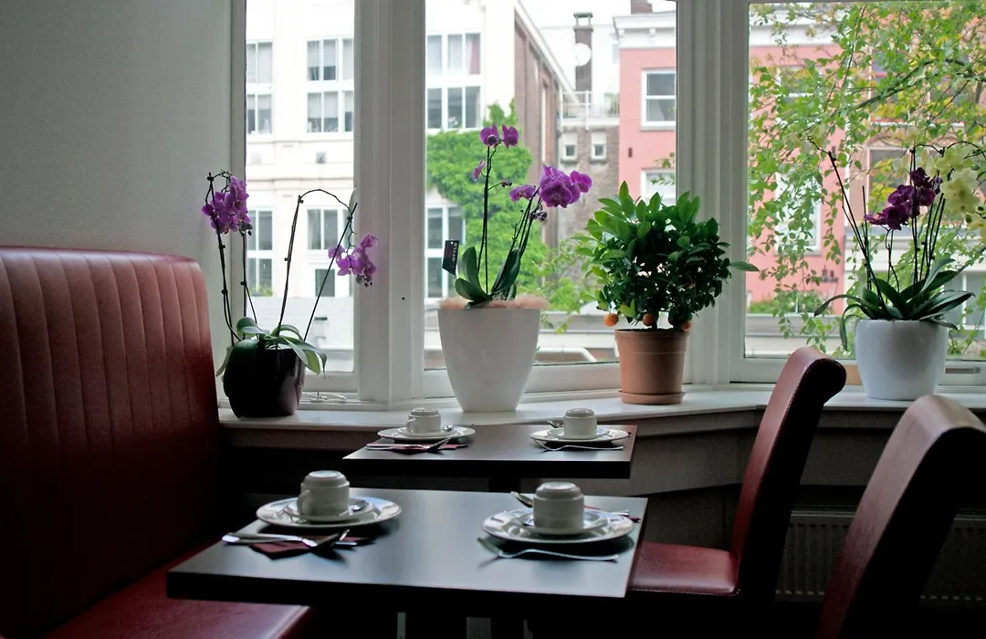 Hotel Allure-1
