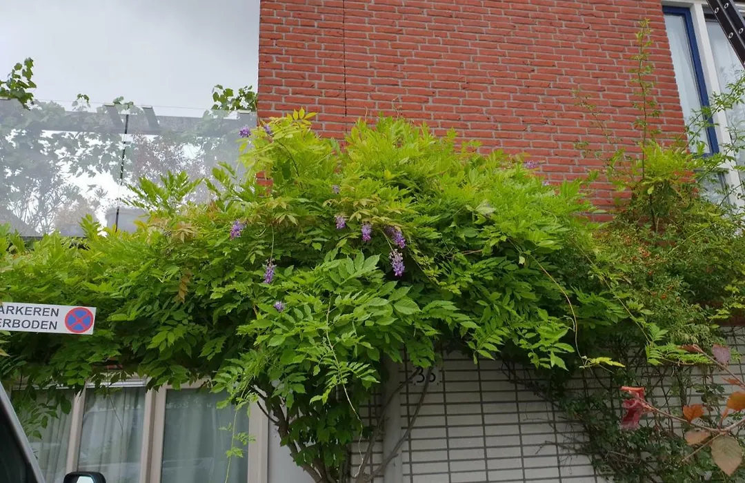 Johan'S B&B - Since 2014 Roofterrace And Cheap Parking-1