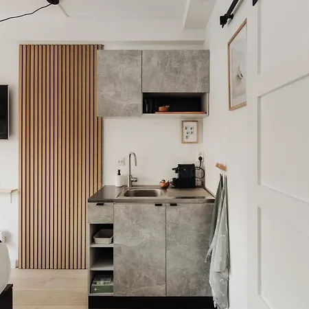 Luxurious Private Studio Amsterdam Zuid-3