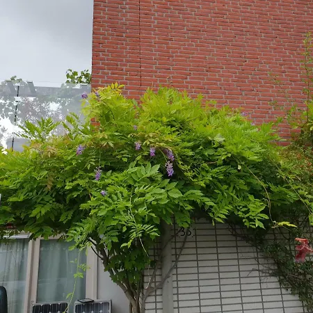 Johan'S B&B - Since 2014 Roofterrace And Cheap Parking-2