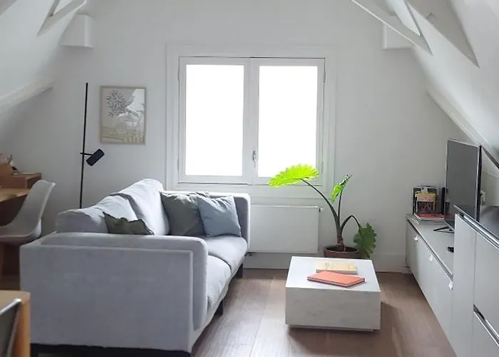 New V Luxury Apartment