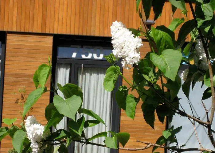 Studio-Apartment In City-Center