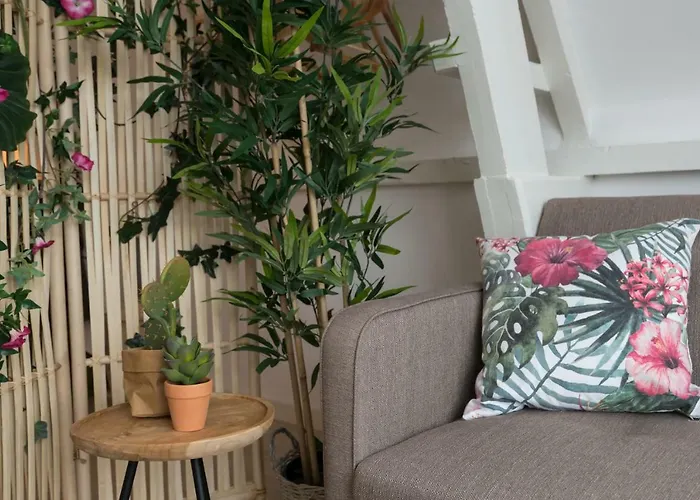 Aluguéis de temporada de Amesterdão