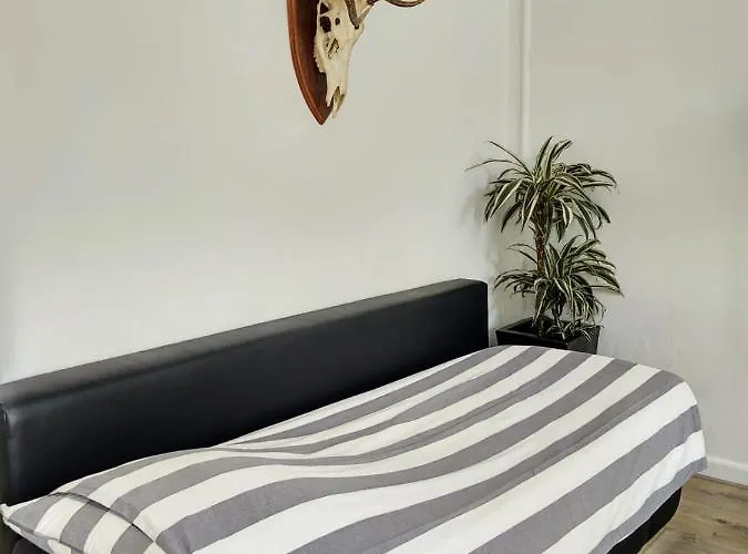 Jordaan Canal View Apartment