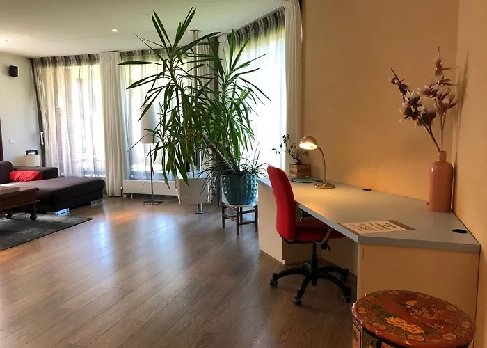 Lounge Park Apartment