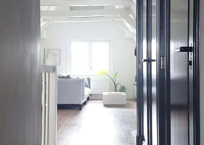 New V Luxury Apartment